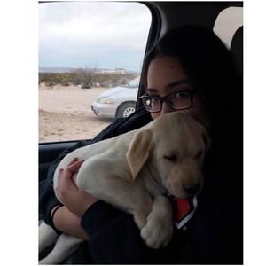 Meet your Posher, Ayleen